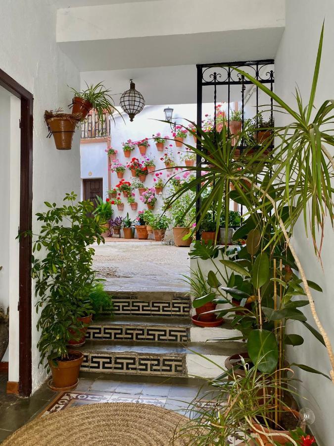 Amal Casa De Huespedes Leilighet Córdoba Eksteriør bilde