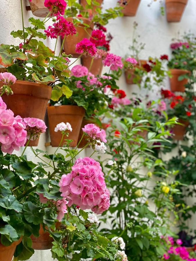 Amal Casa De Huespedes Leilighet Córdoba Eksteriør bilde