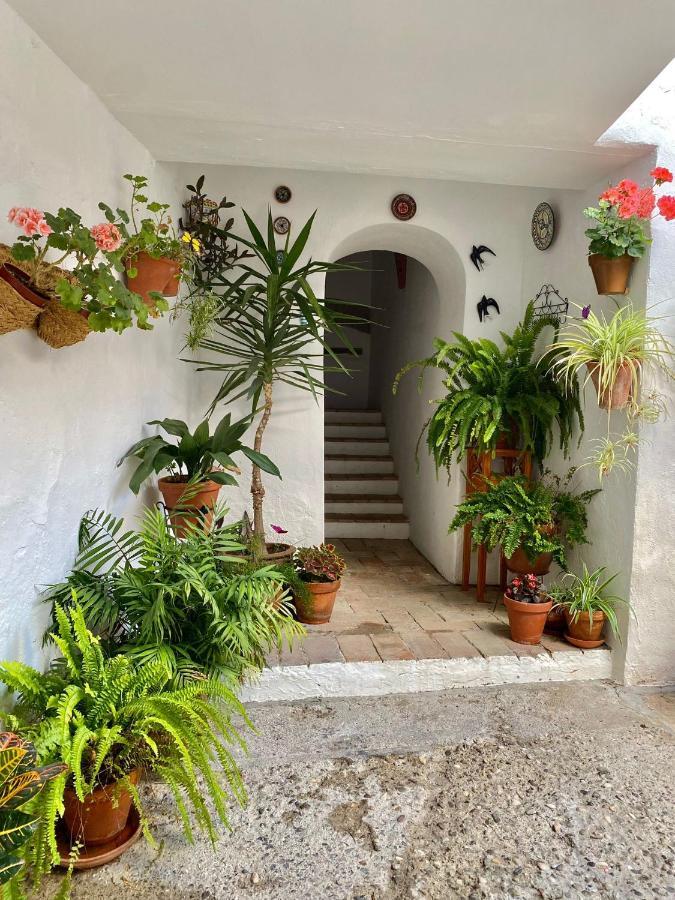 Amal Casa De Huespedes Leilighet Córdoba Eksteriør bilde