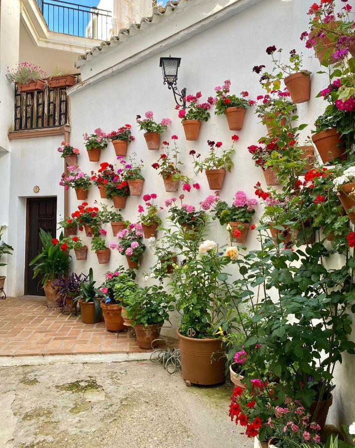 Amal Casa De Huespedes Leilighet Córdoba Eksteriør bilde
